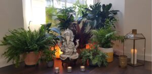 Soul Seeker Yoga